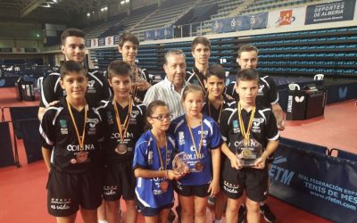El tenis de mesa consigue once medallas, cuatro de oro, en el campeonato de España