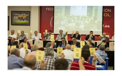 Maté en la Asamblea: «El fútbol de Castilla y León debe estar tranquilo y trabajar en lo que nos ocupa»