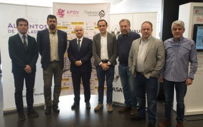El 18 de diciembre concluye el plazo de presentación de candidaturas del Premio Joven Promesa
