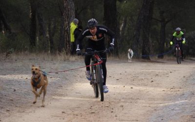 El vallisoletano Pablo Enjuto se proclama campeón de España en Bikejoring un perro