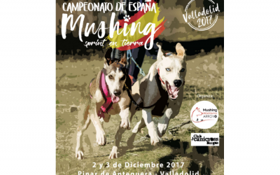 Más de 300 mushing se darán cita en Valladolid en el campeonato de España de Mushing, Sprint en Tierra