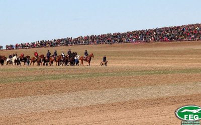 Madrigal de las Altas Torres acoge una disputada final del campeonato de España de Galgos