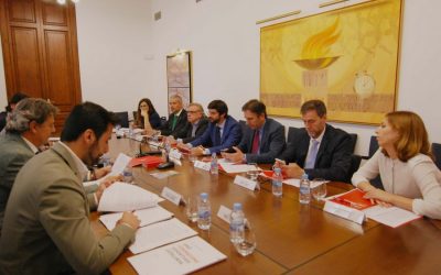 Las uniones de federaciones deportivas autonómicas piden reunirse de urgencia con el CSD