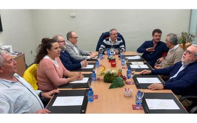 AFEDECYL recomienda paralizar la actividad deportiva federada en Castilla y León durante los próximos 15 días