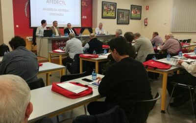 Federaciones y clubes muy preocupados por la incertidumbre y la indefinición normativa respecto a la práctica deportiva en Castilla y León