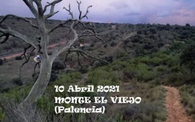 Palencia acoge el Campeonato de Castilla y León de Trail Running