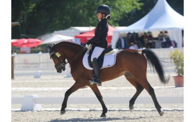 Segovia acoge el XXXIII Campeonato de España de Equitación con Ponis