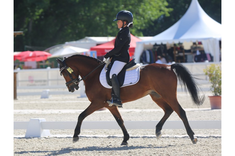 Segovia acoge el XXXIII Campeonato de España de Equitación con Ponis