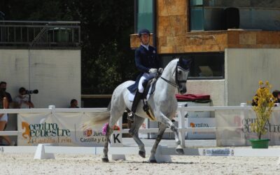El Centro Ecuestre de Segovia acoge la Semana del Caballo Pura Raza Española