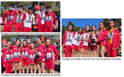 Castilla y León consigue 3 oros y una plata en el Campeonato de España de Selecciones Autonómicas de Cross