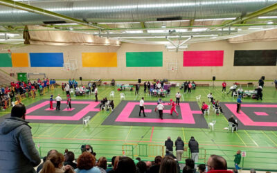 Salamanca destaca en el regional de Kickboxing