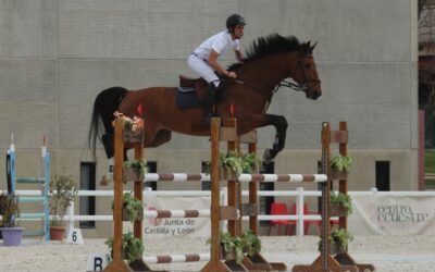 Pablo García-Gallardo, con “Canau de Chalina” se impone en el Gran Premio del CST del Centro Ecuestre