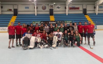 Valladolid, sede de los campeonatos de Europa de Hockey en Línea