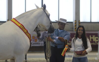 ‘Judío Jocha II` y ‘Rondeña de Centurión’, campeones en el Concurso Morfológico del Centro Ecuestre de Castilla y León