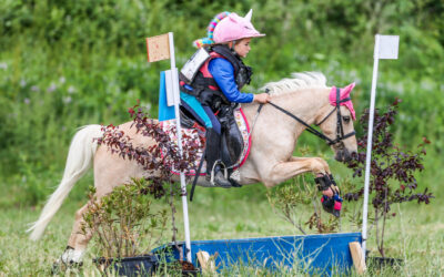 Segovia acoge el Campeonato de Castilla y León de Concurso Completo de Ponis