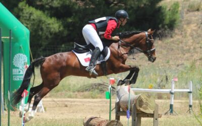 La localidad vallisoletana de Tordesillas acogió el Campeonato de España de TREC 2023