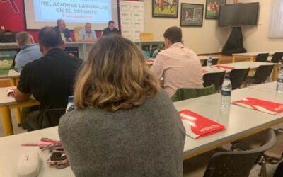 «De la huida de la laboralidad, voluntarismo o economía sumergida, a la profesionalización»
