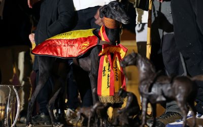 Morería de Suerte se proclama campeona de España de Galgos