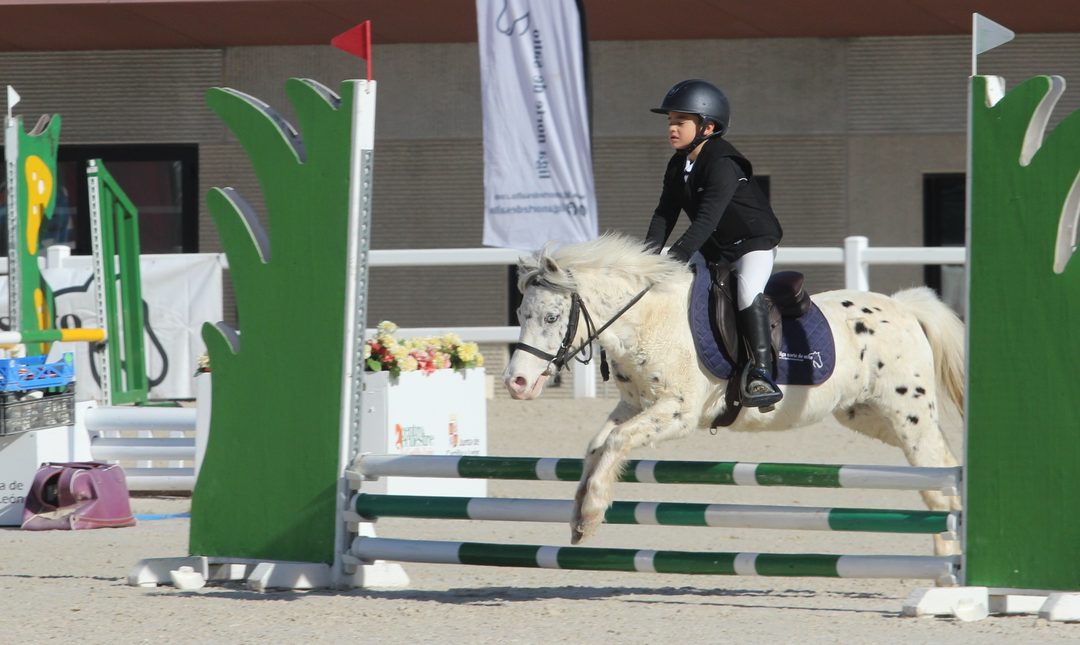 Arranca la XIX edición de la Liga Norte en las instalaciones del Centro Ecuestre de Segovia