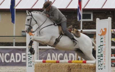 El jinete portugués Gilberto Filipe Silva se impone en el Internacional de Equitación de Trabajo