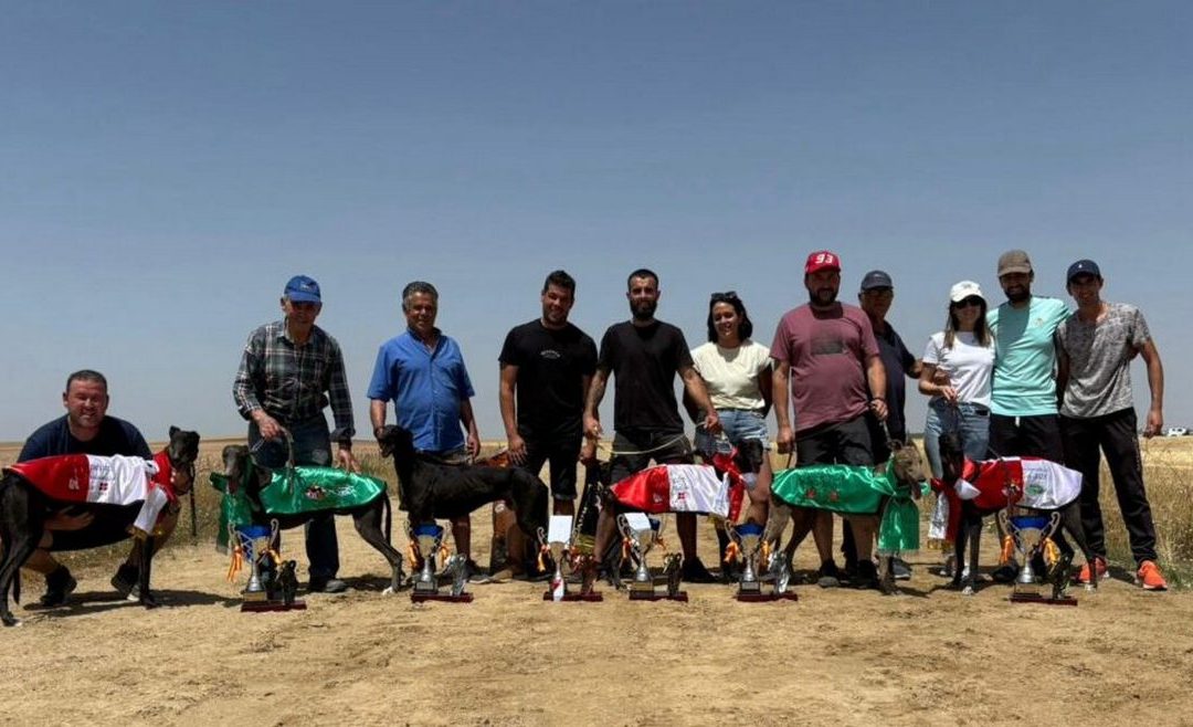 60 perros participan en el XXXVII Campeonato de Castilla León de Liebre mecánica