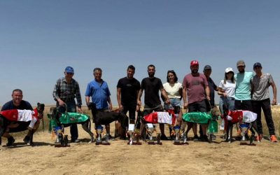 60 perros participan en el XXXVII Campeonato de Castilla León de Liebre mecánica