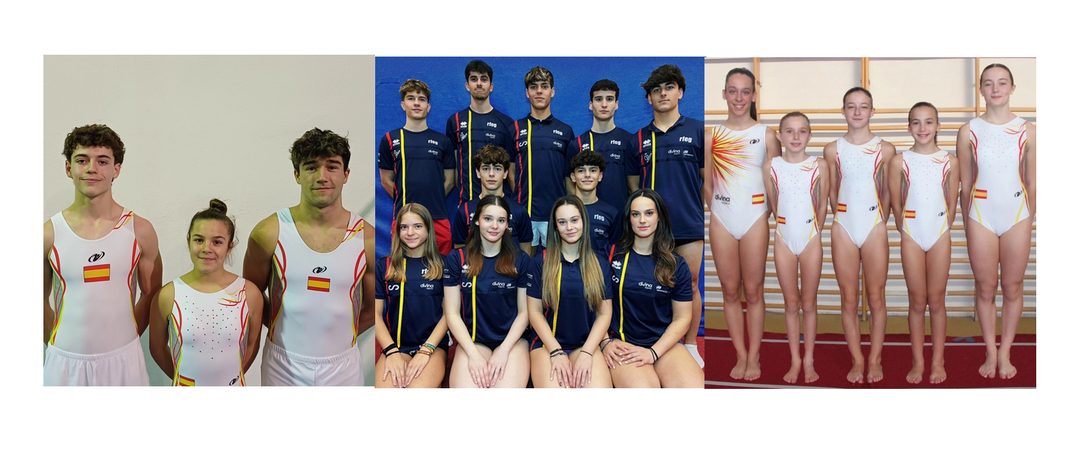 Pamplona acoge el Campeonato del Mundo de Trampolín con una destacada participación de Castilla y León