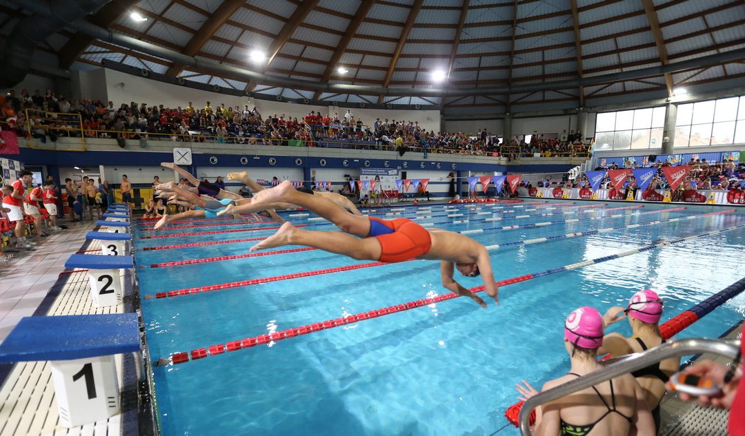 La Copa de Clubes de natación de Segunda División llega este fin de semana a Valladolid