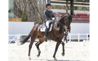 Cristian Tudela Ruiz y “Shpectrum” se imponen en el Gran Premio del CDN** del Centro Ecuestre de Castilla y León
