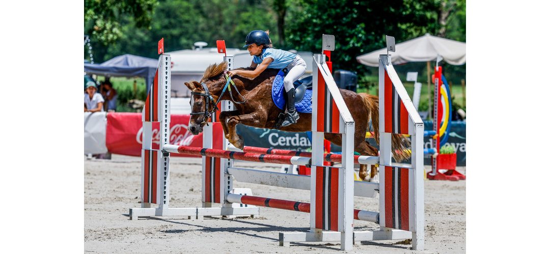 Cinco oros, seis platas y cuatro bronces para la hípica de Castilla y León en el CESA de Ponis