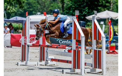Cinco oros, seis platas y cuatro bronces para la hípica de Castilla y León en el CESA de Ponis