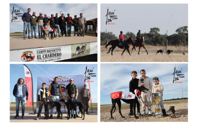 Paquera de Hernández, campeona de la Supercopa de Castilla 2026 de Galgos en Campo