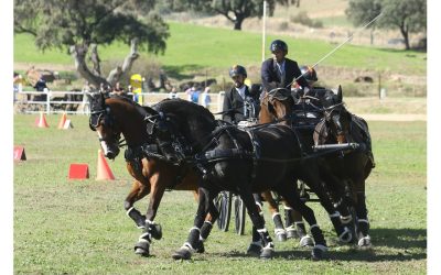 Arenas de San Pedro corona a los Campeones de España de Enganches
